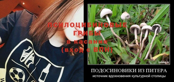 таблы Пересвет