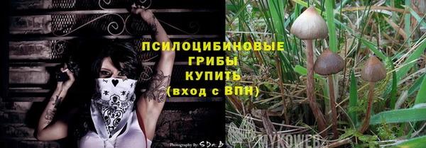 таблы Пересвет