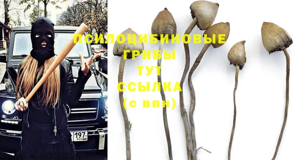 синтетический гашиш Осташков