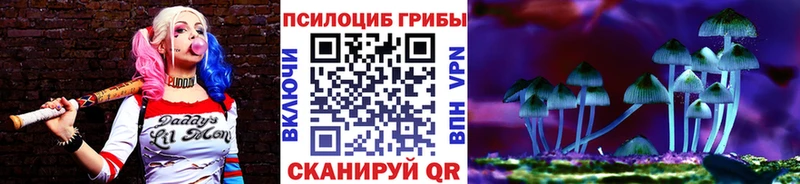 хочу   Дербент  Псилоцибиновые грибы мицелий 