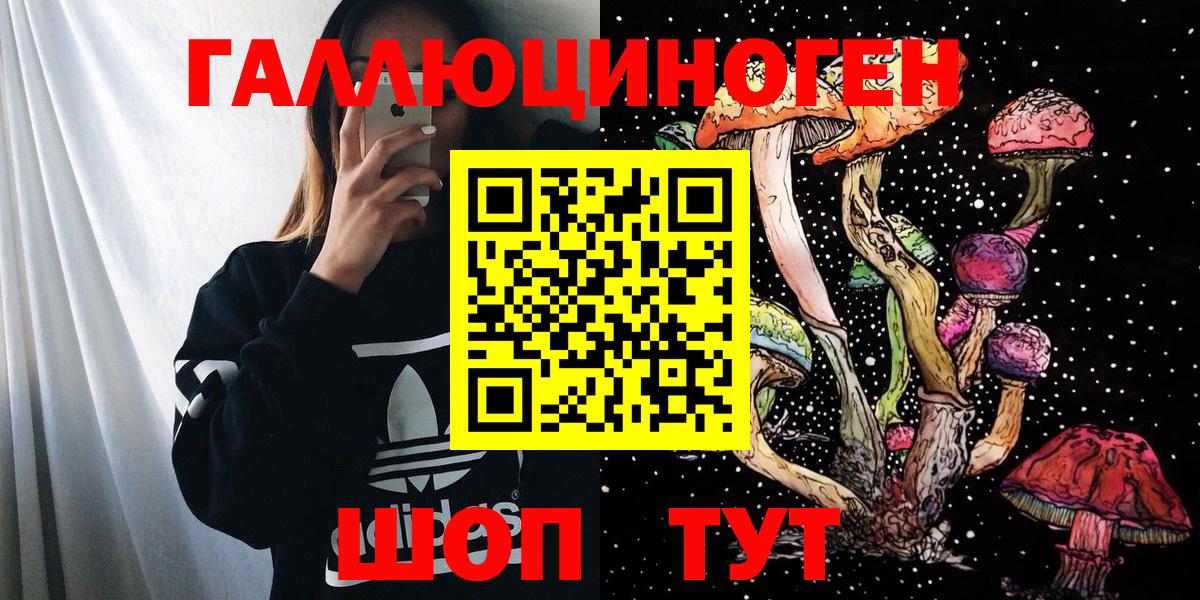 Галлюциногенные грибы Psilocybine cubensis Дербент