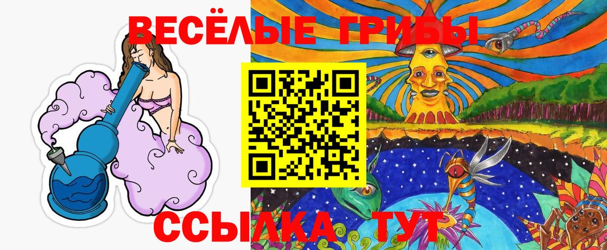 Галлюциногенные грибы Psilocybine cubensis Дербент